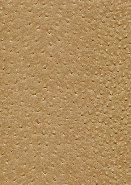 Materiał tapicerski Continental Aliena gold wz